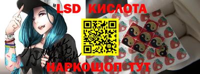 молекула духа Владимир