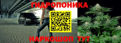 не бодяженный Братск