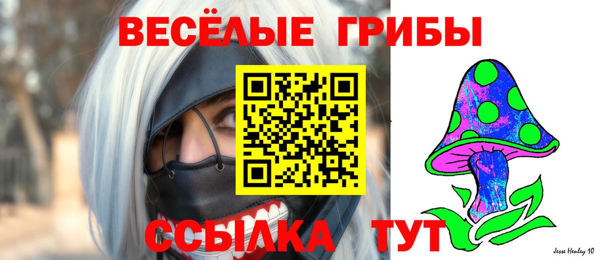 Псилоцибиновые грибы Cubensis  Вход с VPN  где купить   Миасс 